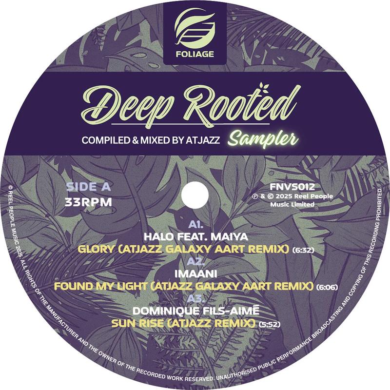 VARIOUS - Deep Rooted (Compiled and Mixed by Atjazz) - Vinyl Sampler - 12'' EP - Vinyl