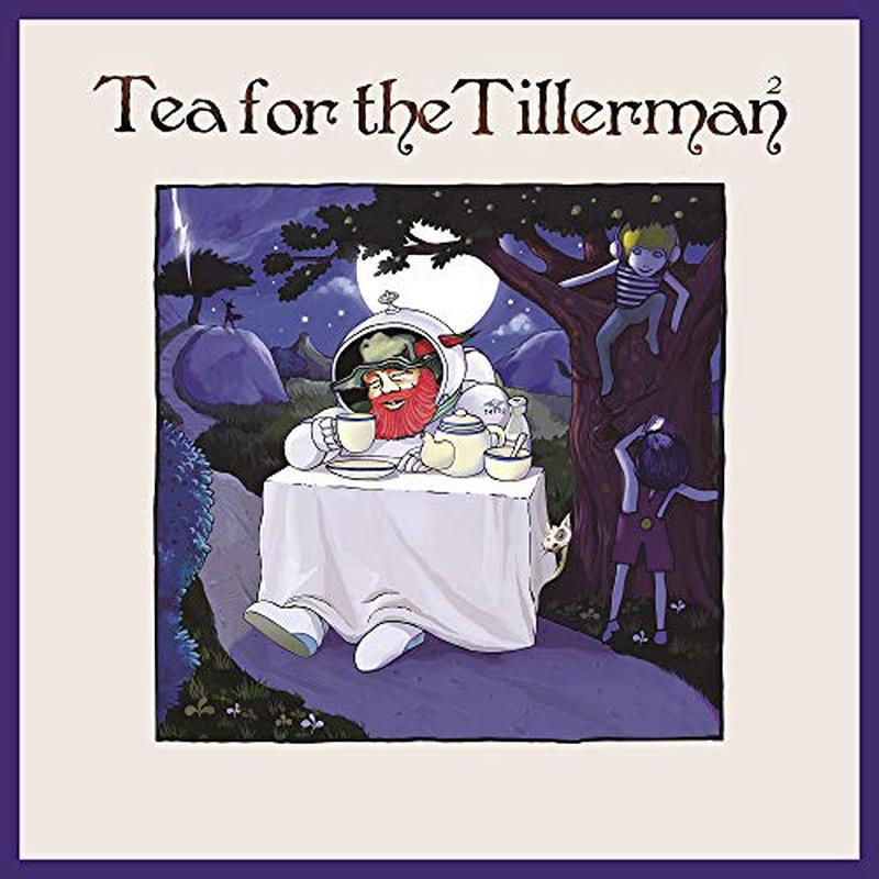 YUSUF / CAT STEVENS Tea For the Tillerman 2 LP Vinyl