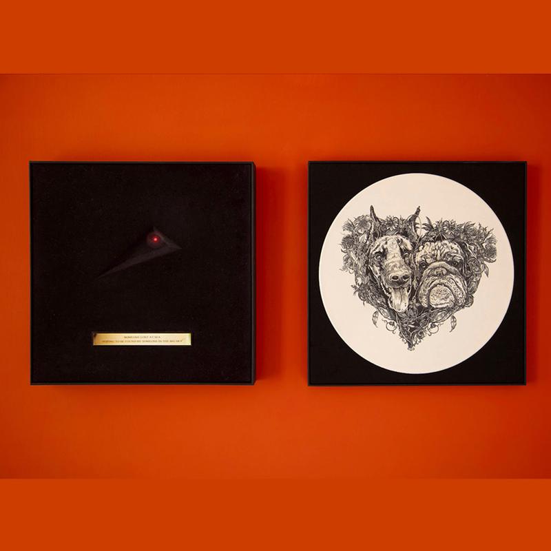 KATE BUSH - Hounds Of Love (Lost At Sea Edition) - Box A