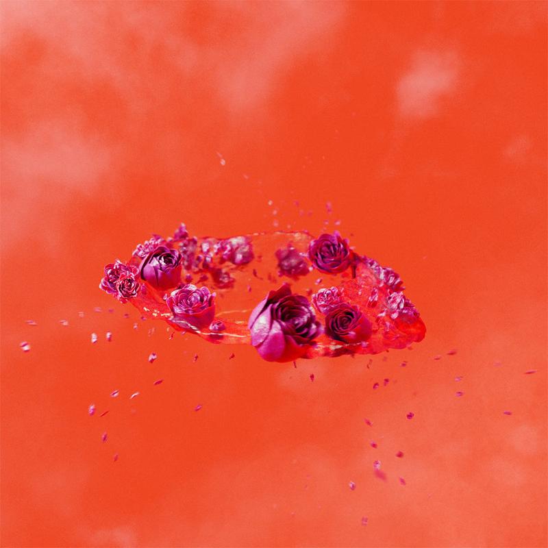 AMI DANG - The Living World's Demands - LP - Vinyl