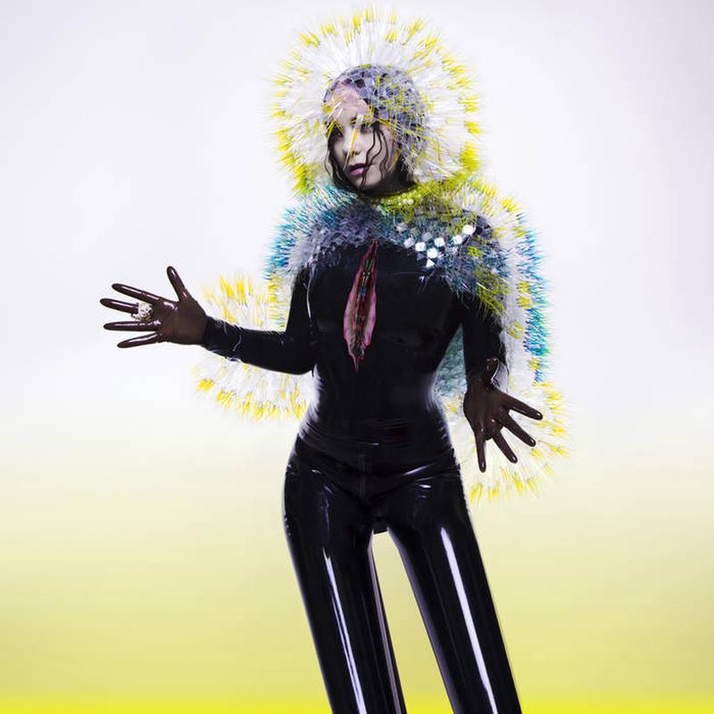 BJRK - Vulnicura - 2LP - Vinyl