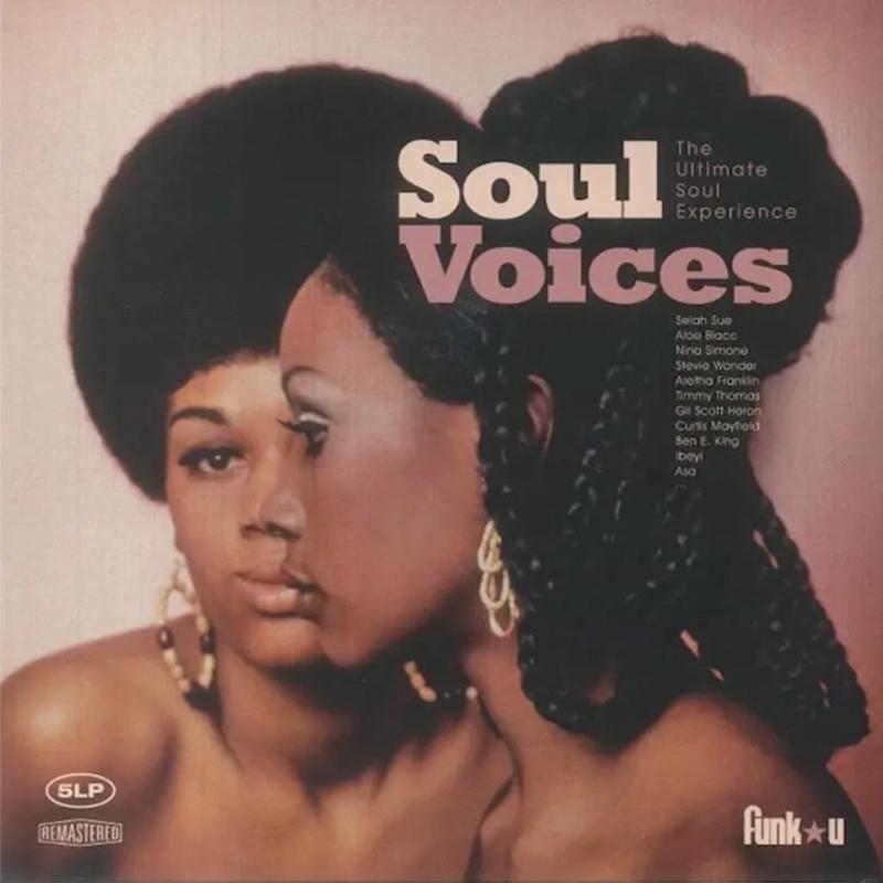 VARIOUS - Soul Voices (The Ultimate Soul Experience) - 5LP - Vinyl Box Set