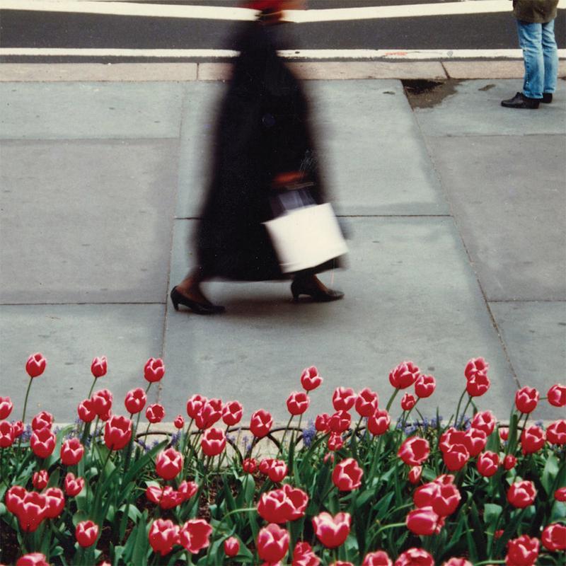 AIR WAVES - The Dance - LP - Vinyl