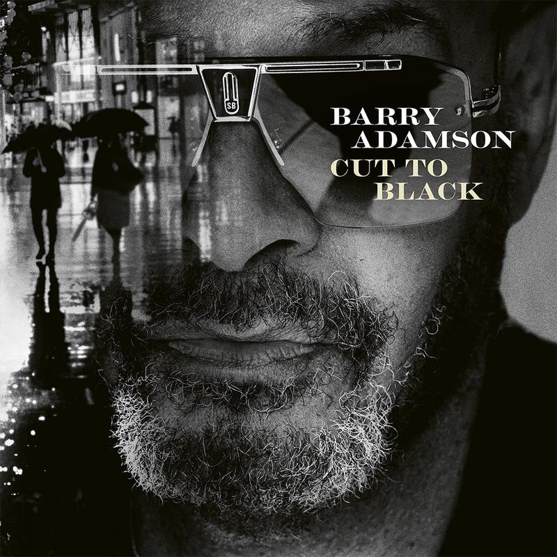 BARRY ADAMSON - Cut To Black - LP - Vinyl