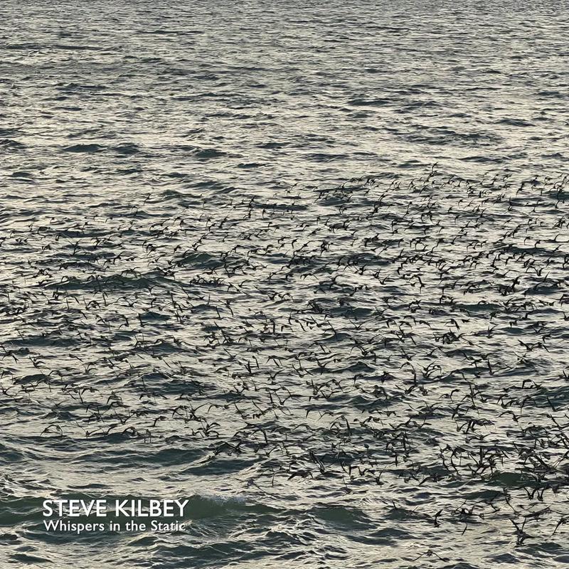STEVE KILBEY - Whispers In The Static - LP - Grey Vinyl + Bonus CD