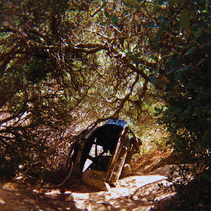 TY SEGALL - Possession - LP - Vinyl