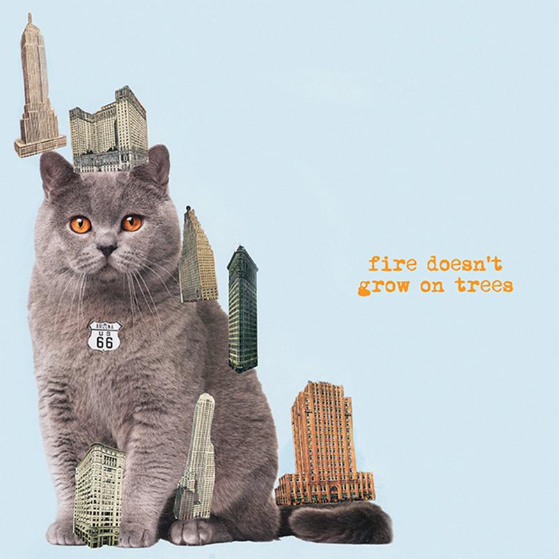 BRIAN JONESTOWN MASSACRE - Fire Doesnt Grow On Trees - LP - 180g Vinyl