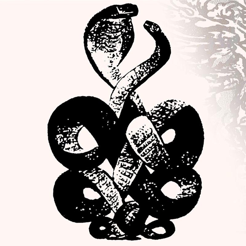 BARDO POND - Volume 4 & 5 - 2LP - Gatefold Vinyl